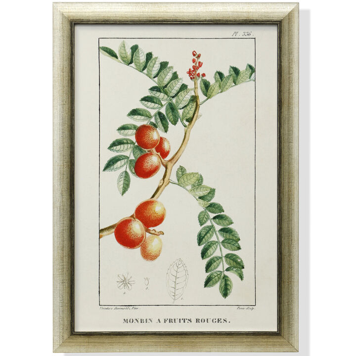 Framed Print Under Glass