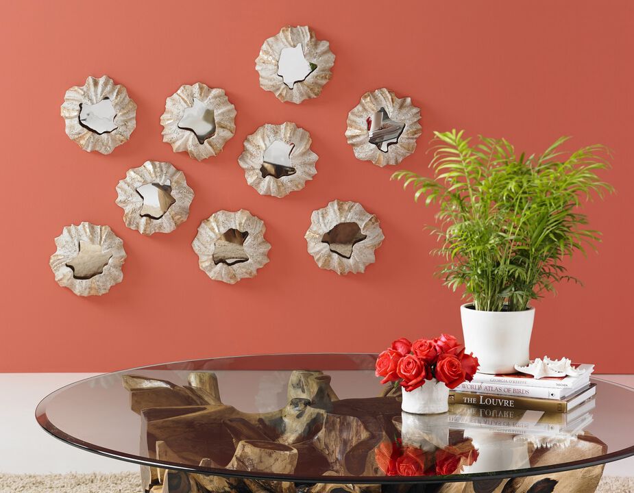 Barnacle Wall Art