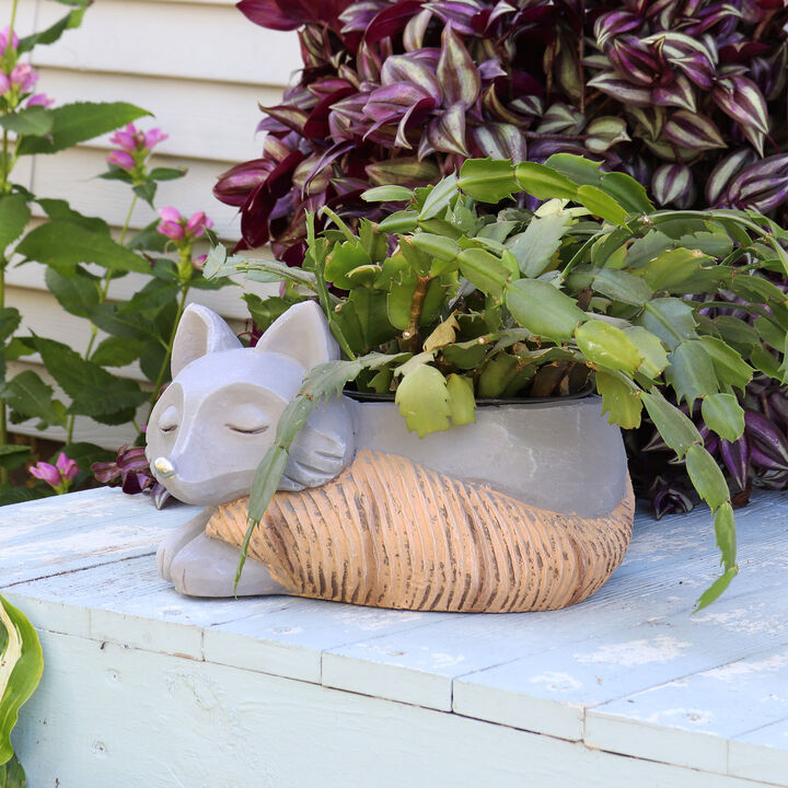 Sunnydaze Magnesium Oxide Finley the Fox Indoor Plater Statue - 8 in