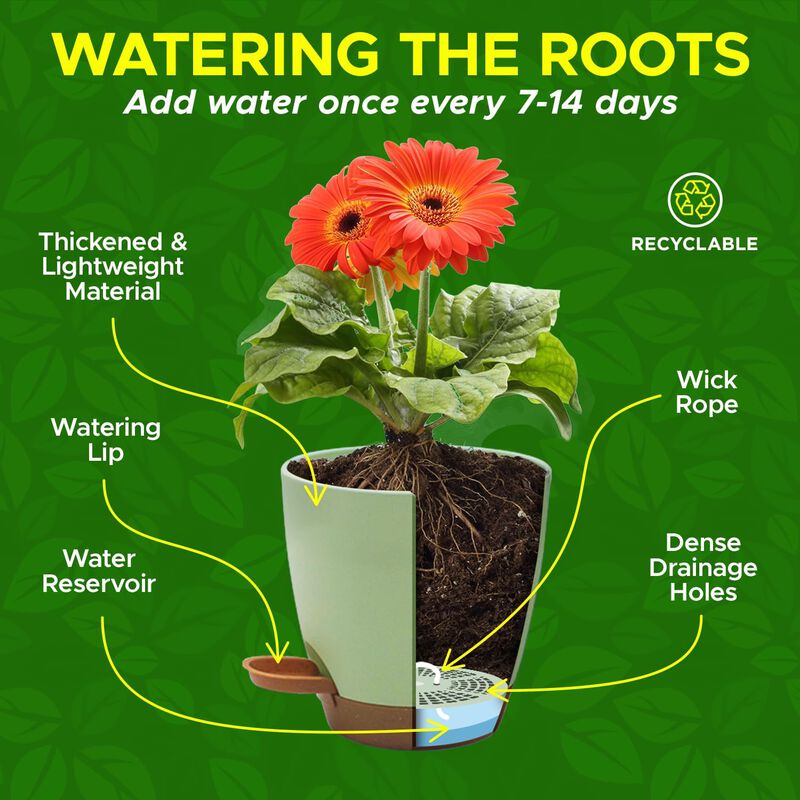Campior Self-Watering Planters - 5 Size Indoor and Outdoor Plant Pots with Drainage Holes and Wick Rope, Plastic Pots for Succulents, Flowers, and Plants, (7”,6.5”,6”,5.5”,5” Inches), Pack of 5, Black