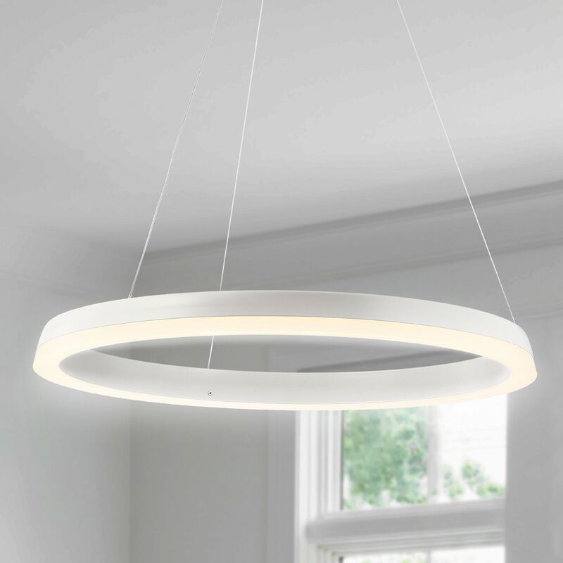 Baxter 23.5" 1-Light Modern Contemporary Aluminum Integrated LED Hoop Pendant