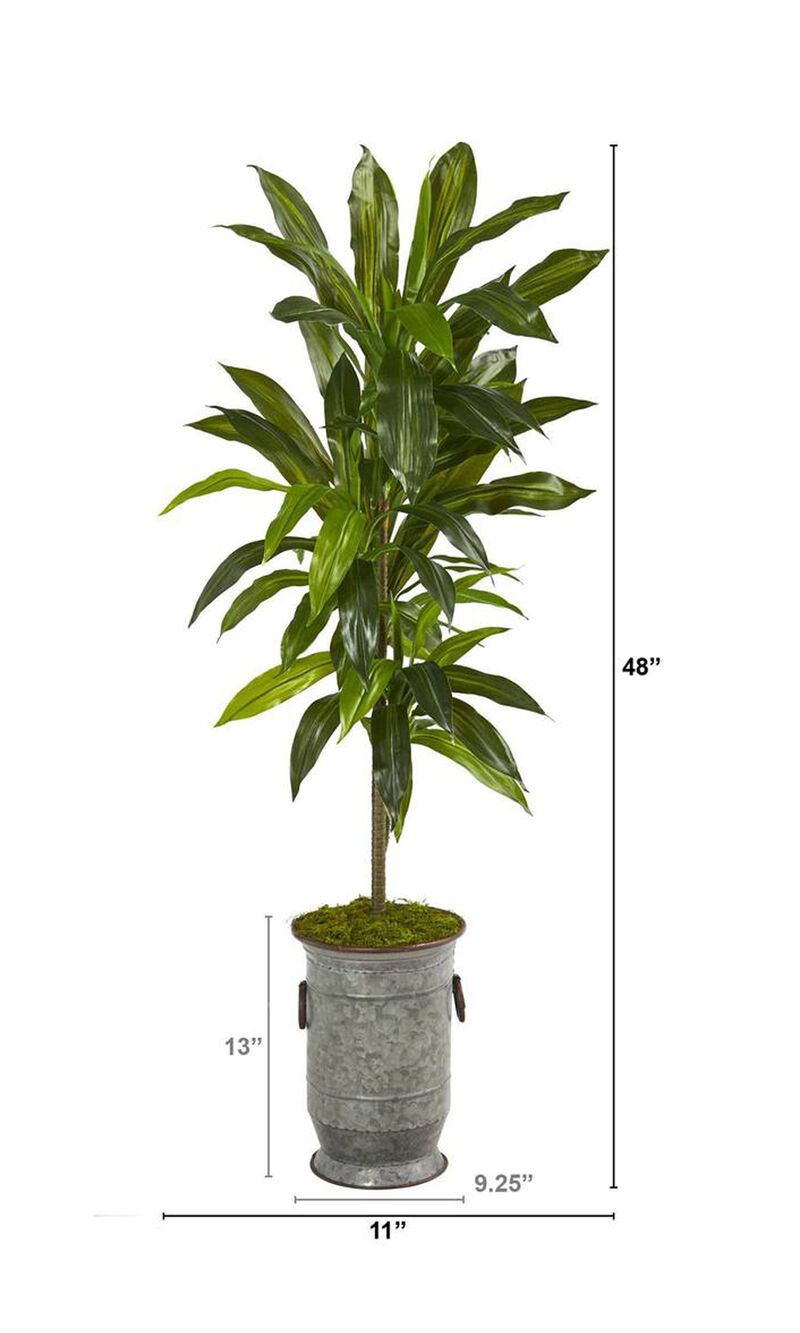 Nearly Natural 4-in Dracaena Plant in Planter (Real Touch)