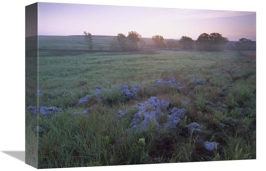 Misty morning over prairie, Tallgrass Prairie National Preserve, Kansas-Canvas Art-16x12