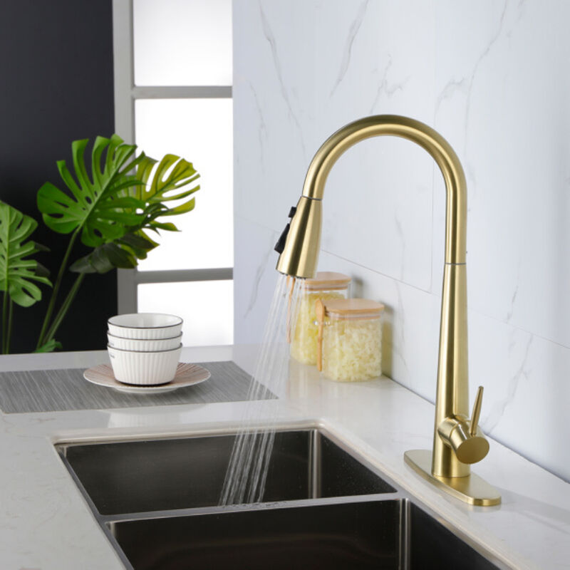 Kitchen Sink Faucet with Pull-Out Sprayer, Single Handle, Fingerprint-Resistant Finish