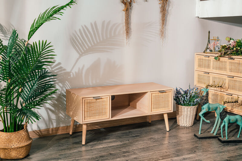 Scandinavian Solid Wood TV Stand with 2 Drawers
