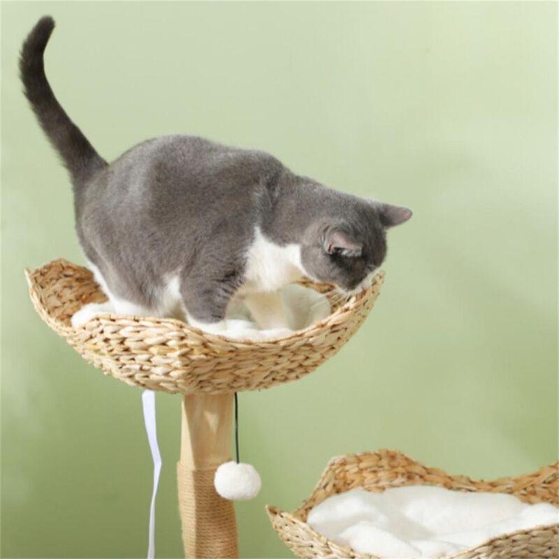 Premium Multi-Level Cat Tree with Scratching Posts, Perches, and Cozy Hideaways for Cats
