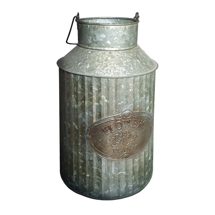 Decorative Flowers and Plants Metal Can with Handle, Gray-Benzara