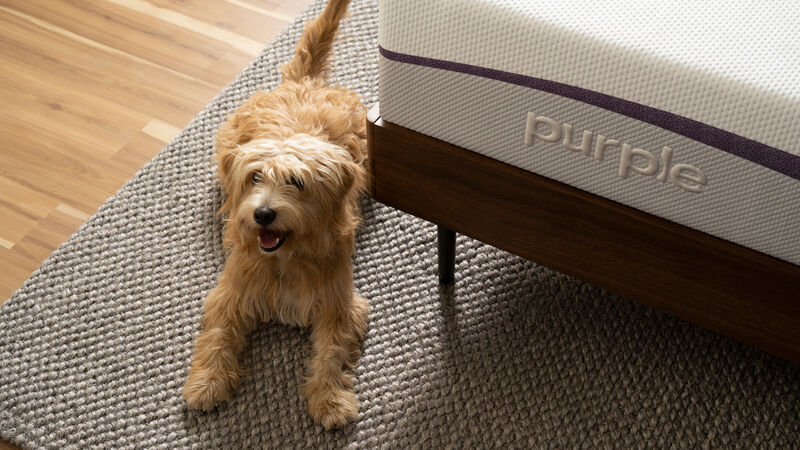 The Purple Mattress