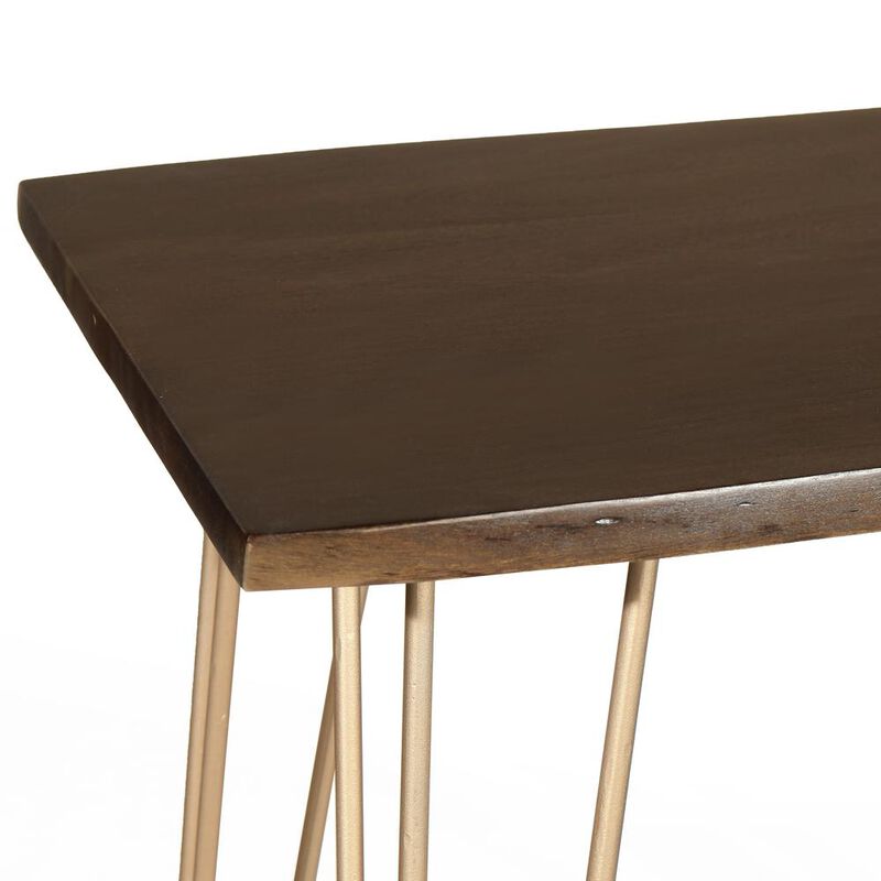 Carolina Living Seti Live Edge Bar Table - Elm Top - Gold Base