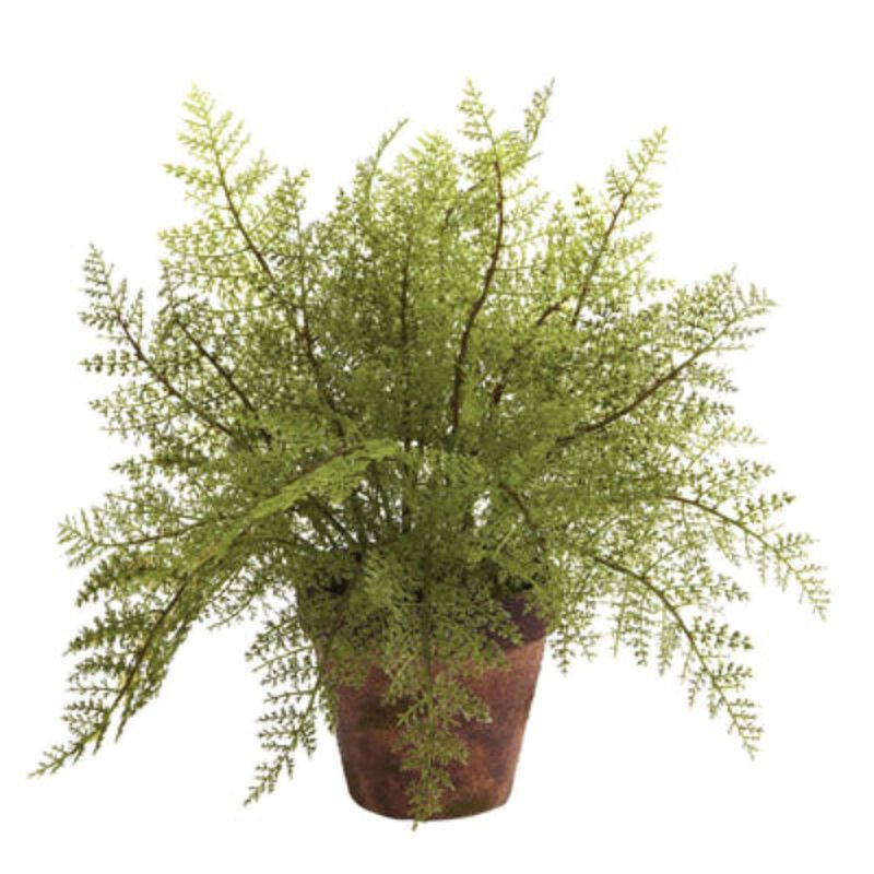 Hivvago Fern w/Decorative Planter (Set of 2)