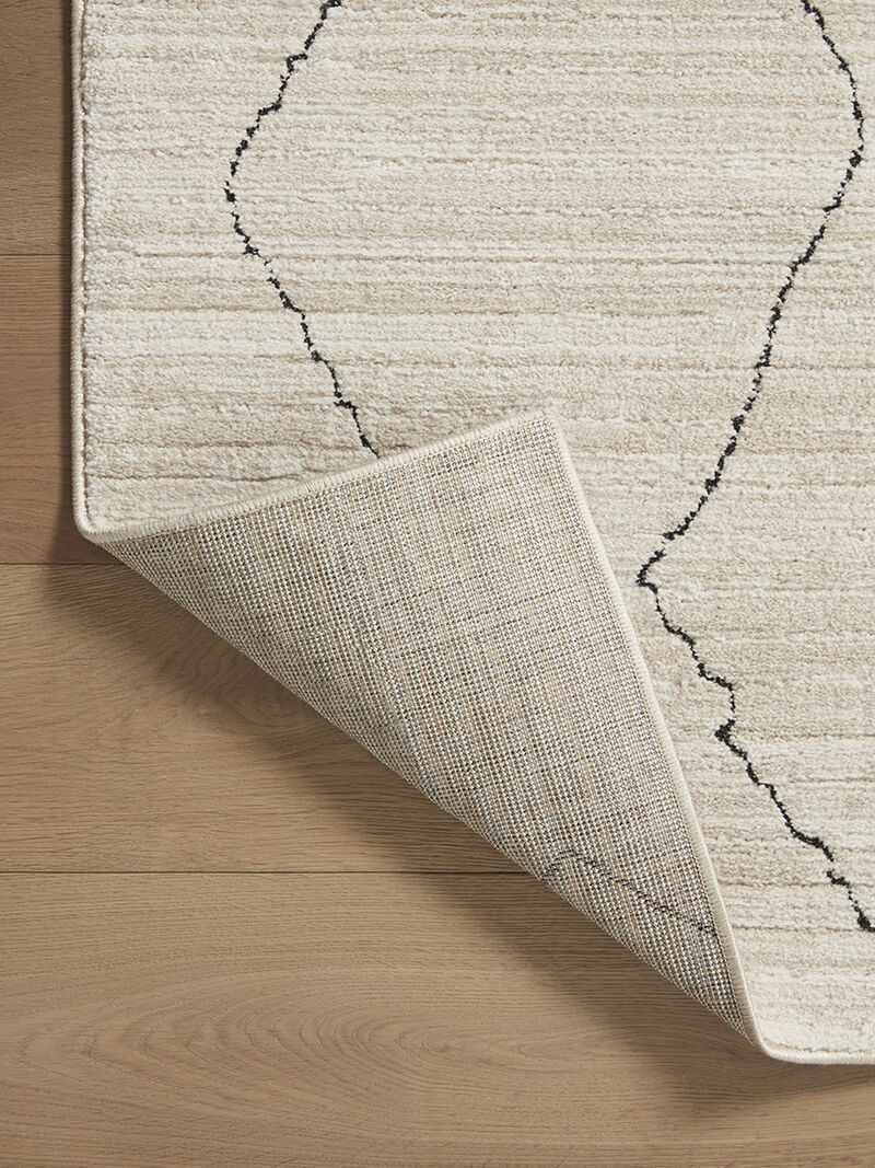 Darby DAR03 Collection by Loloi II