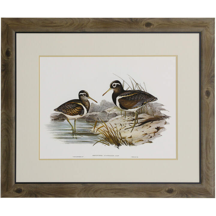 Waterbird Pairing III