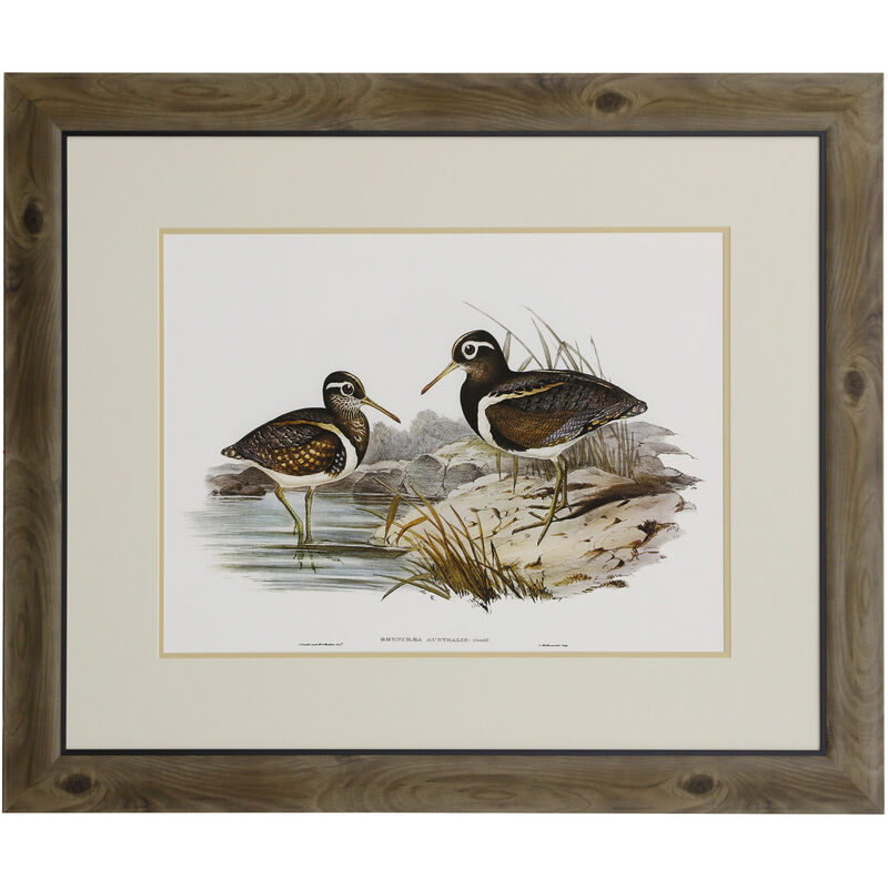 Waterbird Pairing III