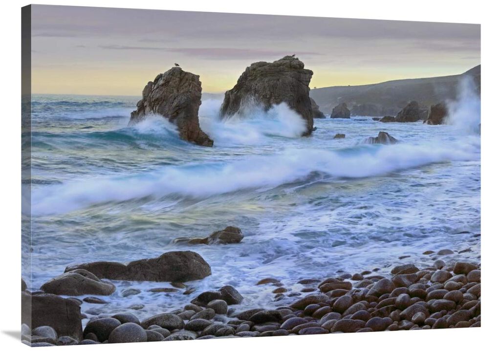 Cove and seastacks near Garrapata State, Beach Big Sur, California-Canvas Art-40x30
