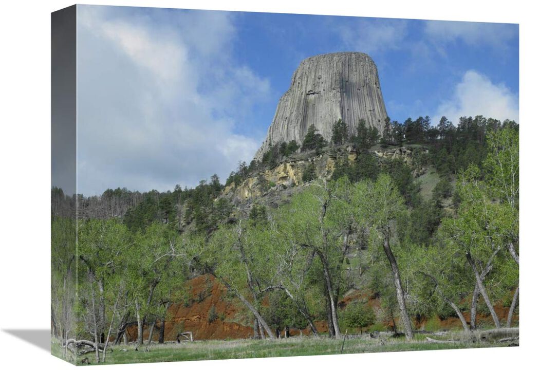 Devils Tower National Monument showing famous basalt tower, sacred site for Native Americans, Wyoming-Canvas Art-16x12