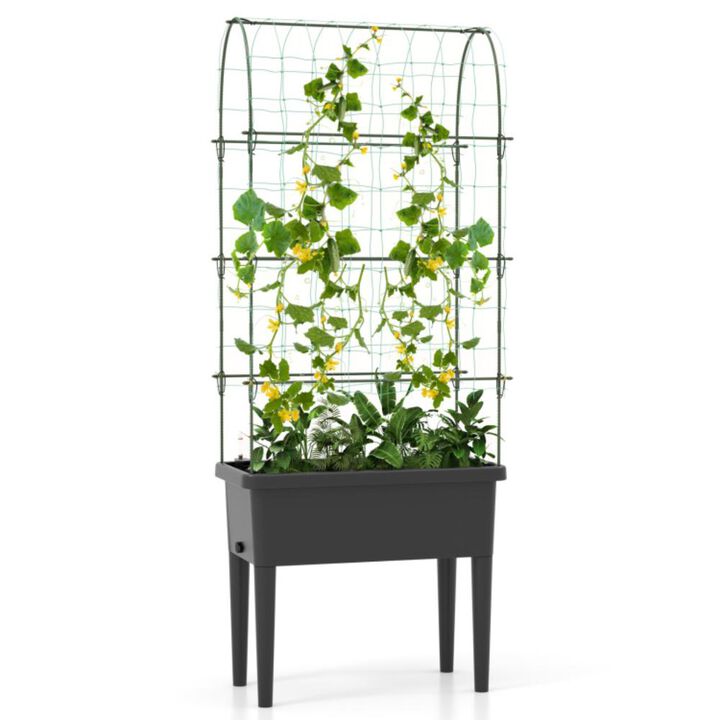 Hivvago Self-watering Raised Garden Bed Elevated Planter with Climbing Trellis
