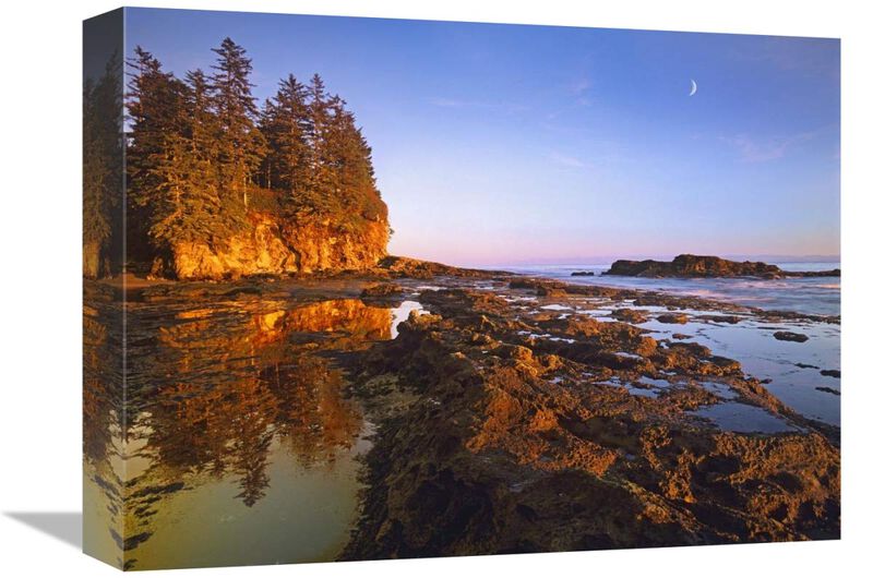 Tidepools exposed at low tide, Botanical Beach, Juan de Fuca Provincial Park, Vancouver Island, British Columbia, Canada-Canvas Art-16x12