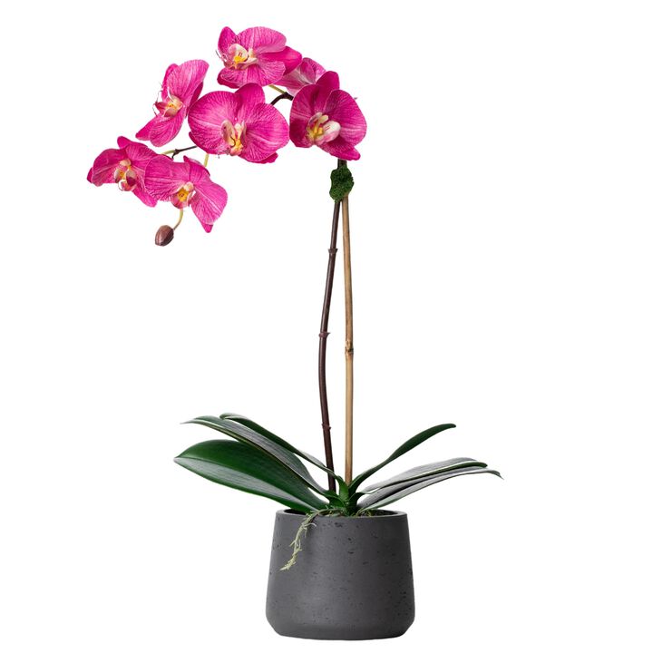 Artificial Orchid Plant - Pink Orchid- 21"