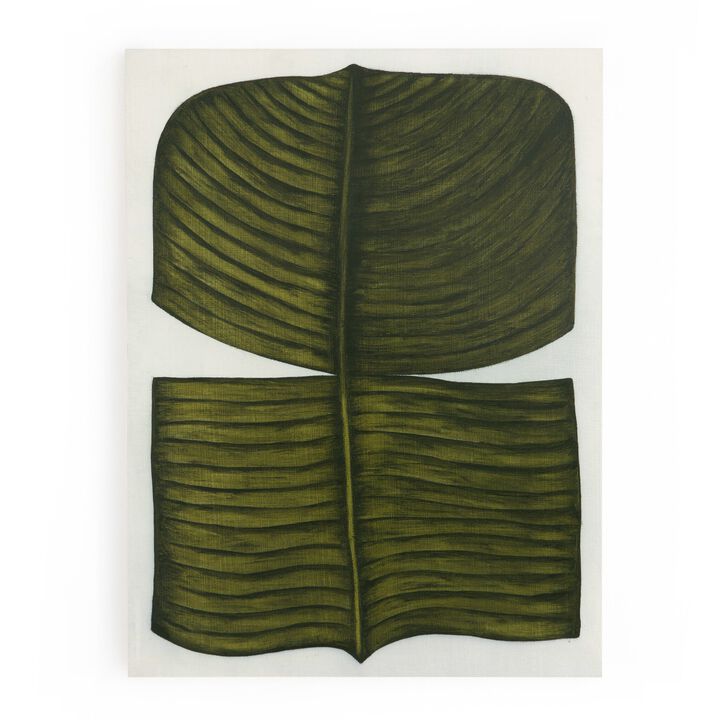 Ficus Elastica