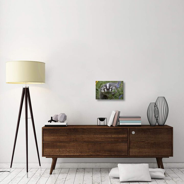 American Badger amid Lupine, North America-Canvas Art-18x12