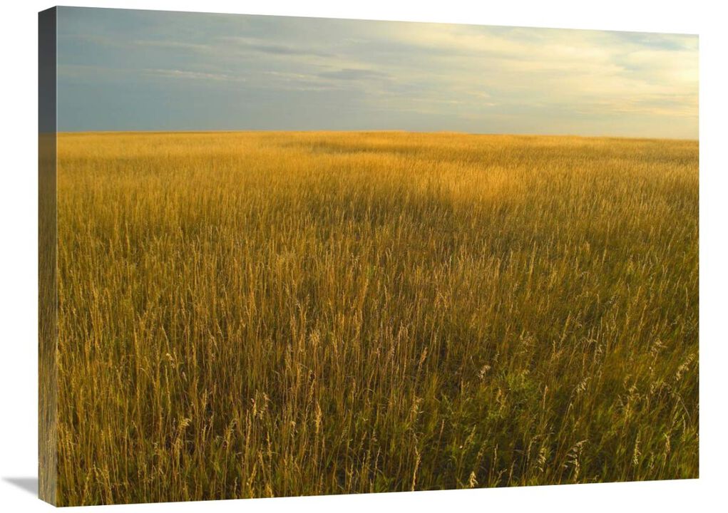 Upper prairie in Badlands National Park, South Dakota-Canvas Art-32x24