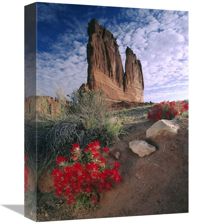 Paintbrush and the Organ Rock, Arches National Park, Utah-Canvas Art-12x16
