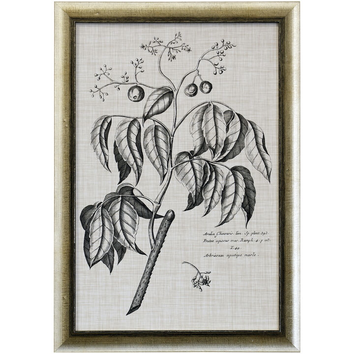 Black & Oatmeal Botanical IX