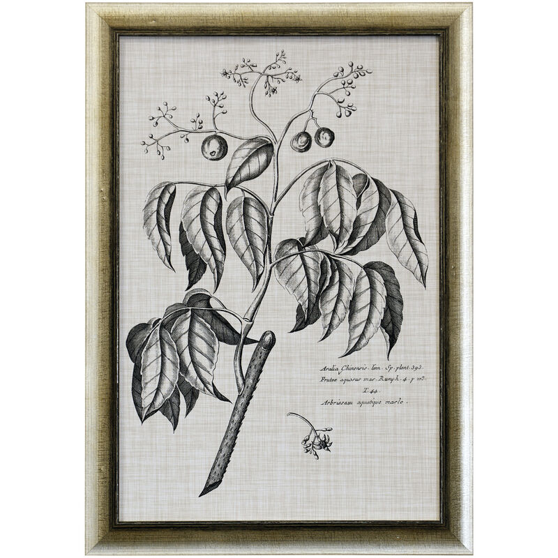 Black & Oatmeal Botanical IX