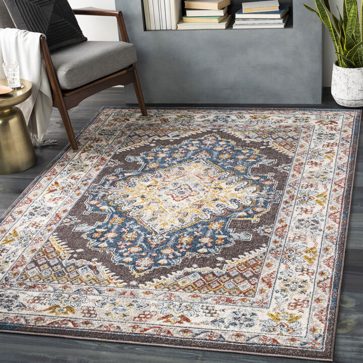 Ankara AKR-2300 7'10' x 10'3' Brown Rug