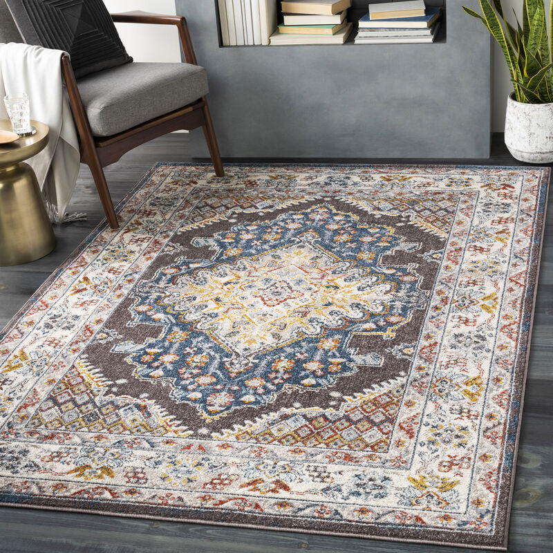 Ankara AKR-2300 7'10' x 10'3' Brown Rug