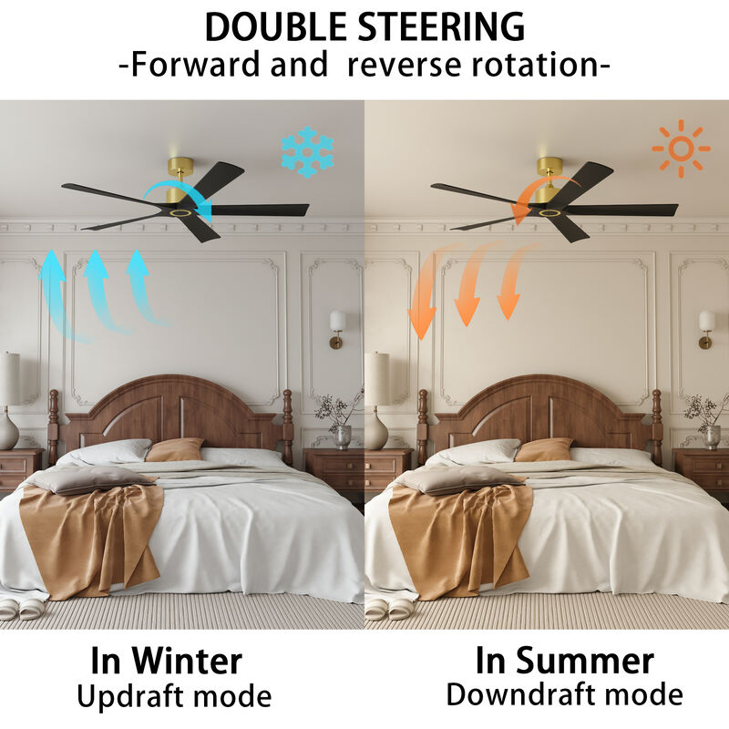 FUFU&GAGA Ceiling Fan 30-in with Black Blades Indoor/Outdoor Ceiling Fan Remote (5-Blade),Black