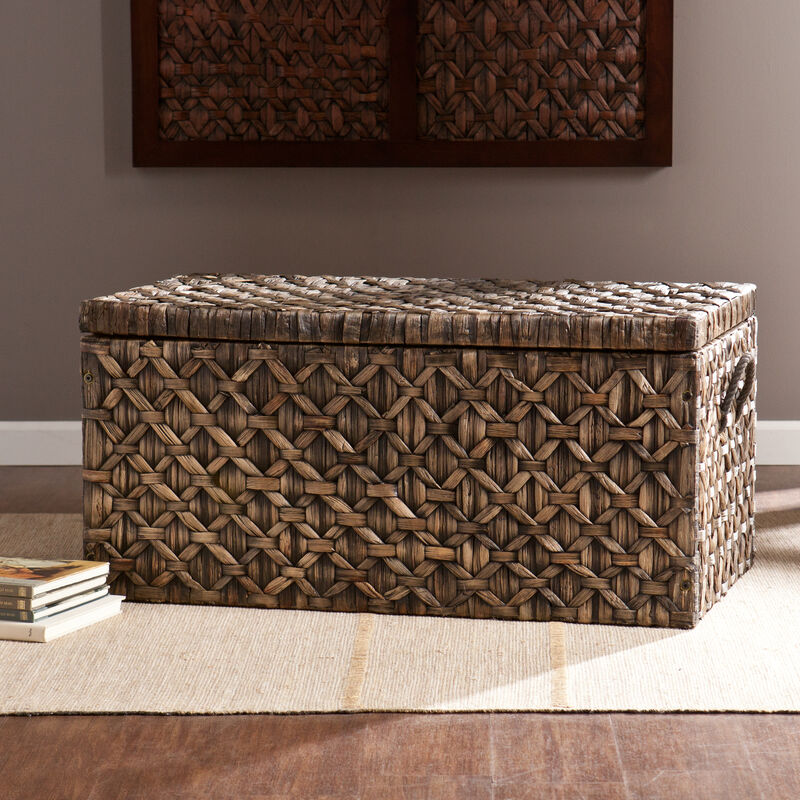 Darley   Storage Trunk