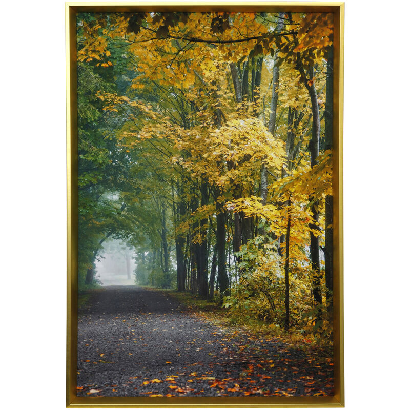 Framed Print Under Glass