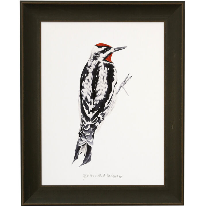 Woodpecker I Framed Print