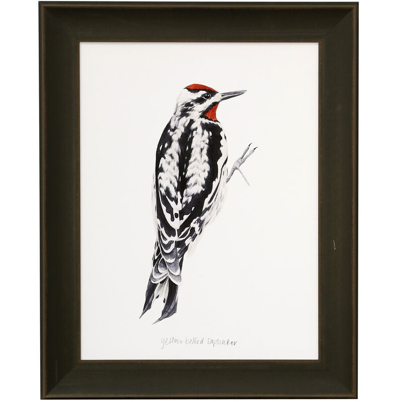 Woodpecker I Framed Print