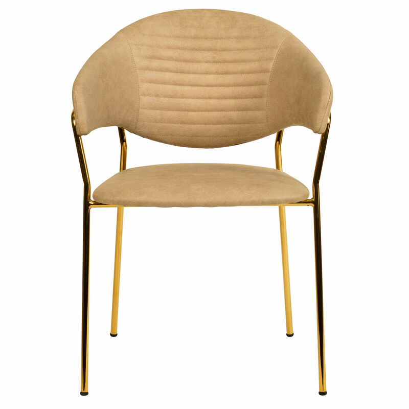 Bella Modern Dining Chair Upholstered in Leather With Stainless Steel Base Set of 2