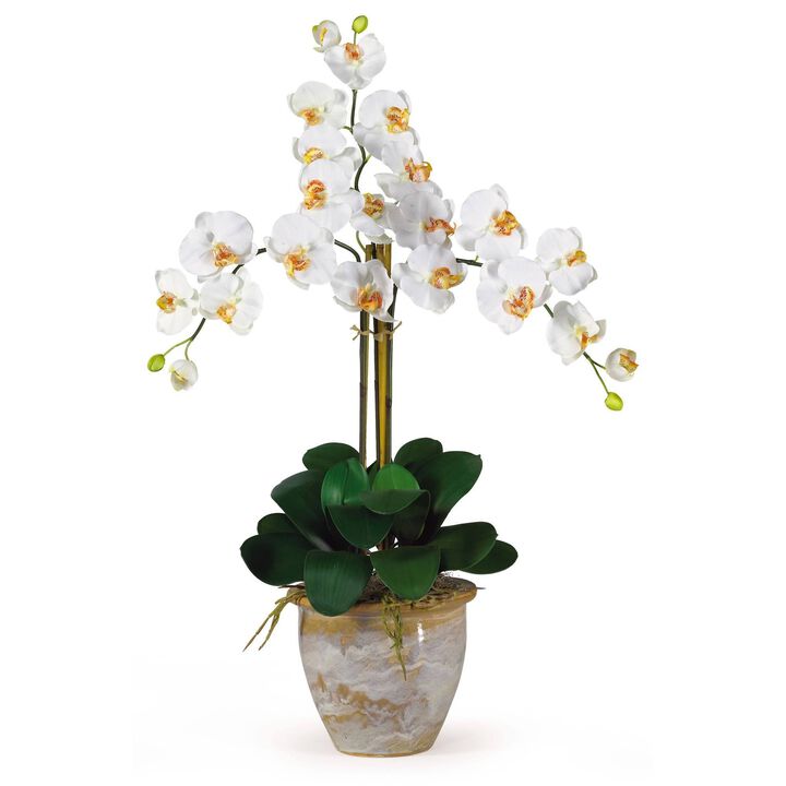 Nearly Natural Triple Stem Phalaenopsis