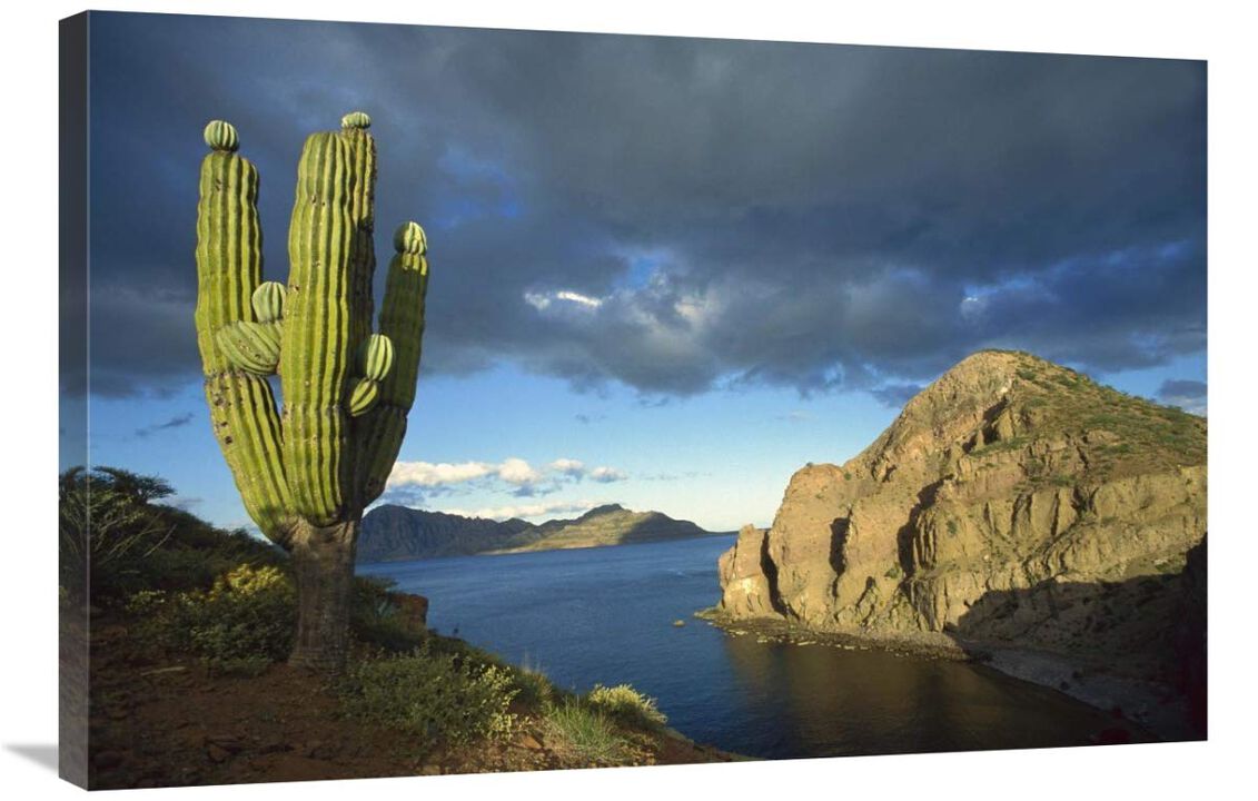Danzante Island, Sea of Cortez, Baja California, Mexico-Canvas Art-36x24