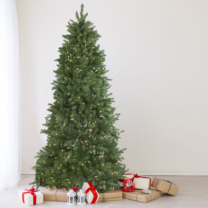 12' Pre-Lit Instant Connect LED Neola Fraser Fir Artificial Christmas Tree - Multicolor Lights