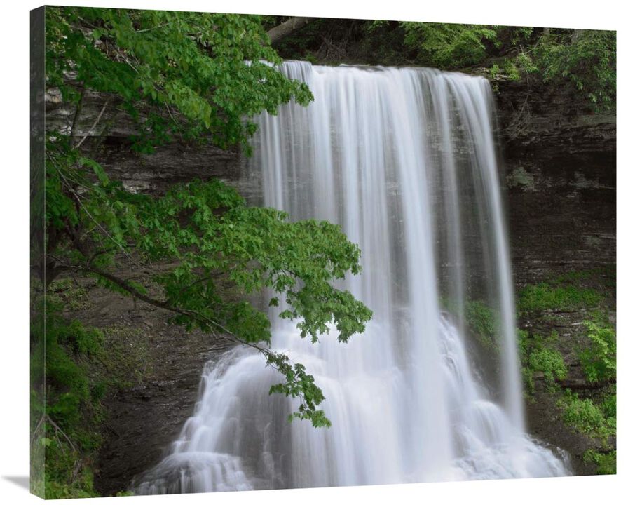 Cascading waterfall in Jefferson National Forest, Virginia-Canvas Art-36x29.88