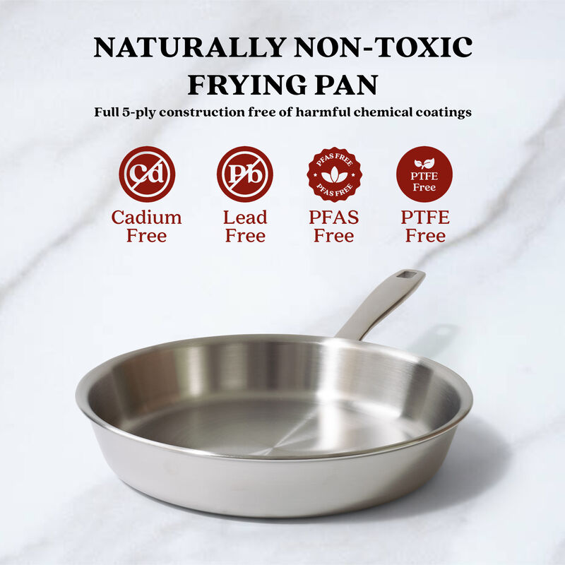 Alva Maestro 5-Ply Stainless Steel Frying Pan, Durable Induction Pan, Non Toxic Cookware, Stay Cool Handle - 8"
