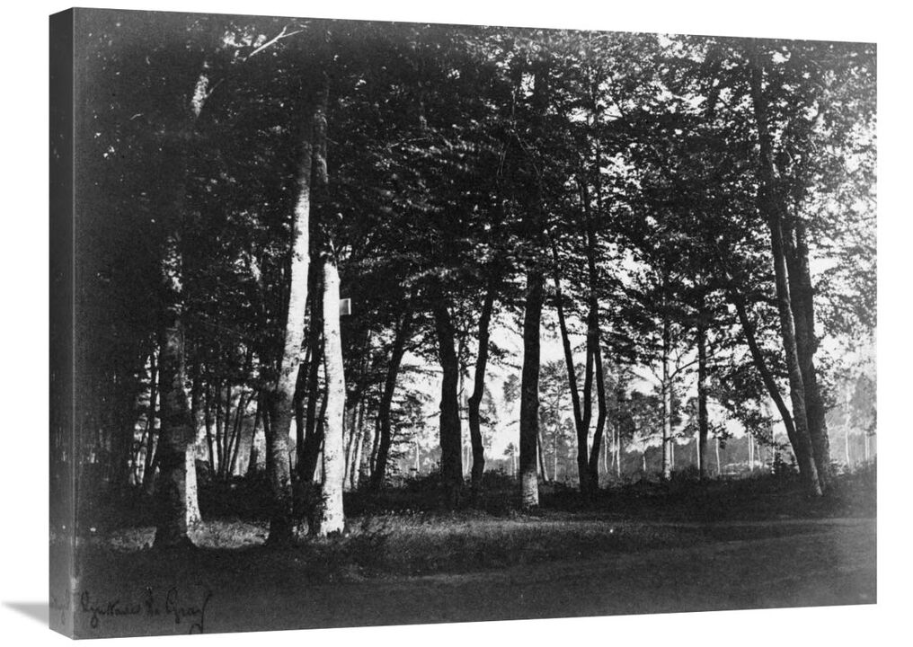 Fontainebleau, 1849 - Study of Trees and Pathways-Canvas Art-30x22.5