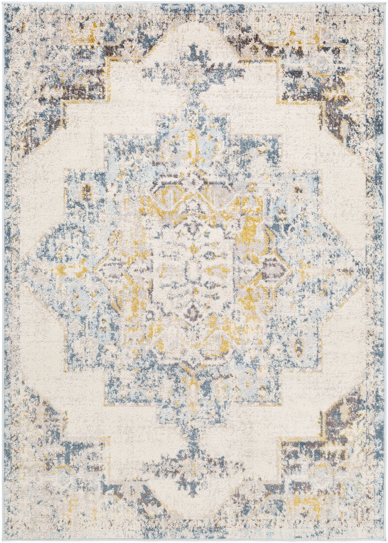 Ankara AKR-2309 8'10' x 12' Blue Rug