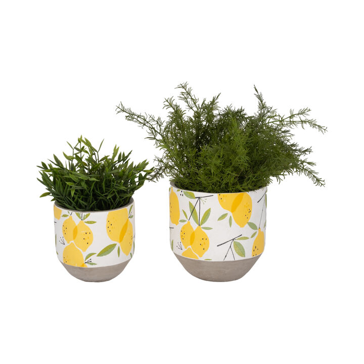 Growing Lemons Planter