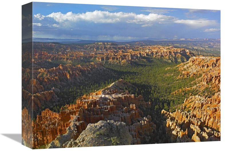 Bryce Canyon National Park seen from Bryce Point, Utah-Canvas Art-16x12