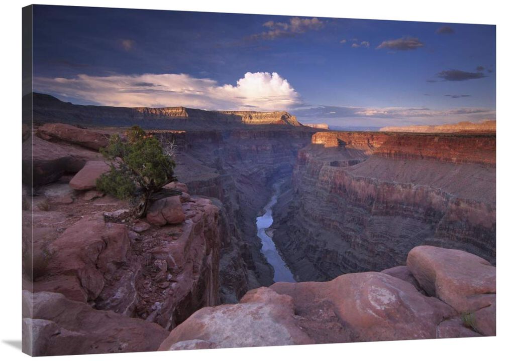 Colorado River from Toroweap Overlook, Grand Canyon National Park, Arizona-Canvas Art-40x30