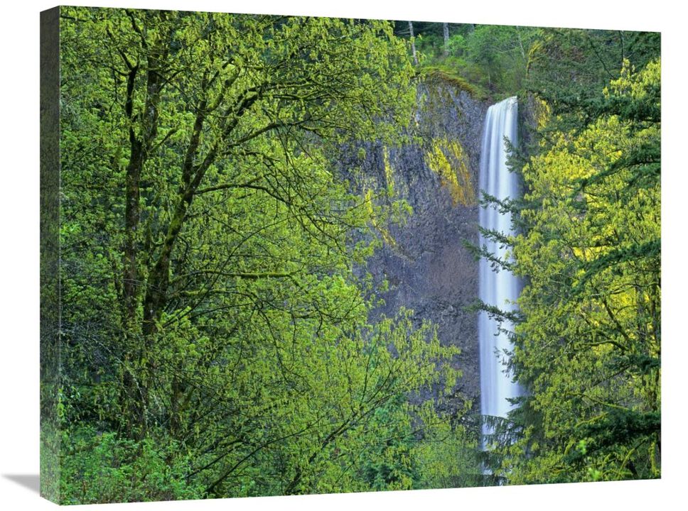 Latourell Falls, Columbia River Gorge near Portland, Oregon-Canvas Art-28x22
