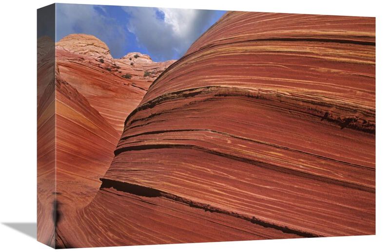 Detail of The Wave, a Navajo sandstone formation in Paria Canyon-Vermilion Cliffs Wilderness, Arizona-Canvas Art-16x12