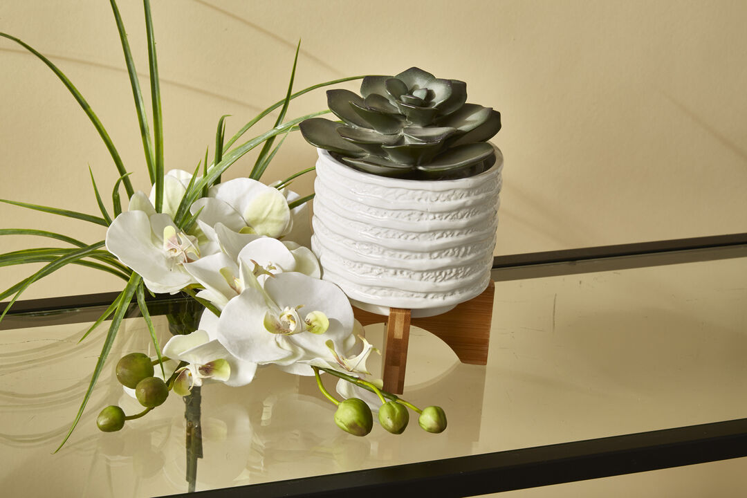 Ceramic 6" Planter on Stand