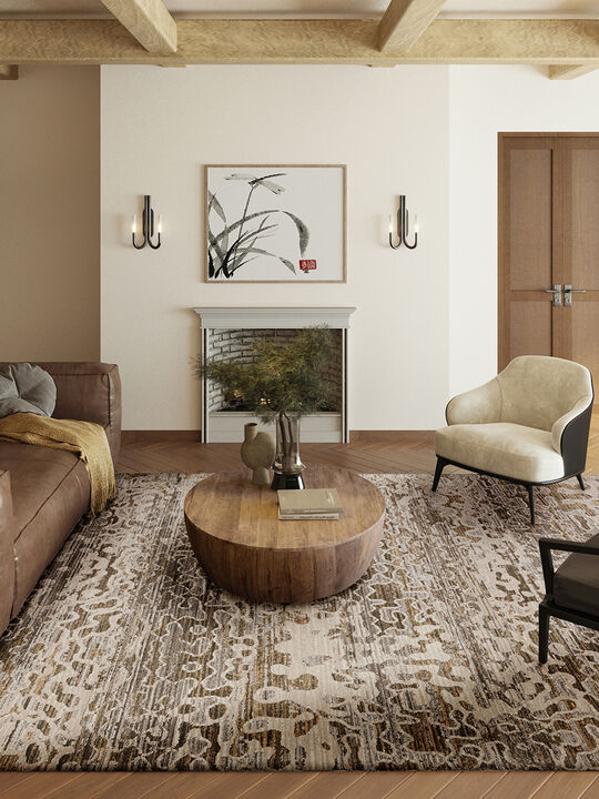Denizi DZ6 Mocha 7'10" x 10' Rug